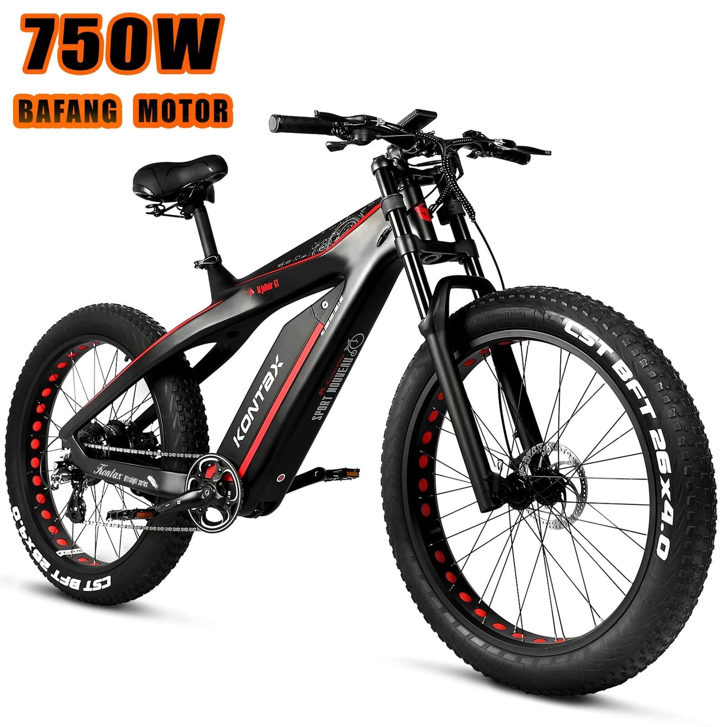 Electric Bike for Adults with 750W  Motor  Torque Sensor System Carbon Fiber