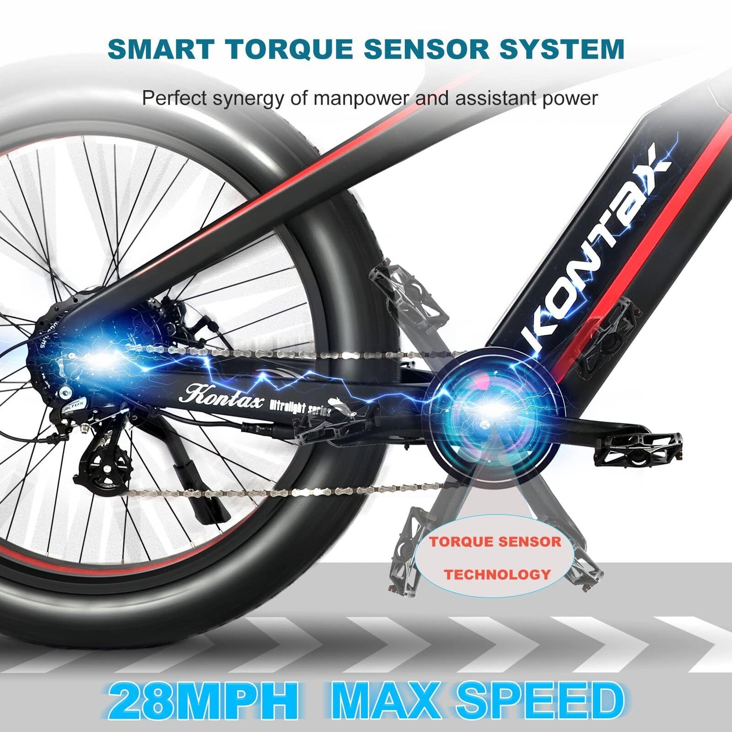 Electric Bike for Adults with 750W  Motor  Torque Sensor System Carbon Fiber