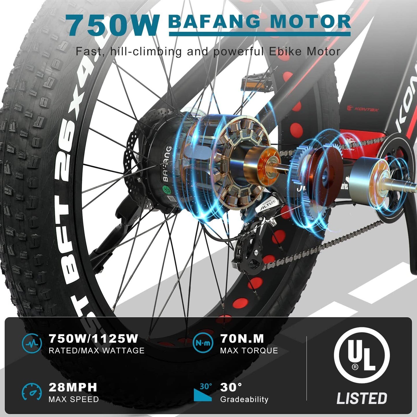 Electric Bike for Adults with 750W  Motor  Torque Sensor System Carbon Fiber