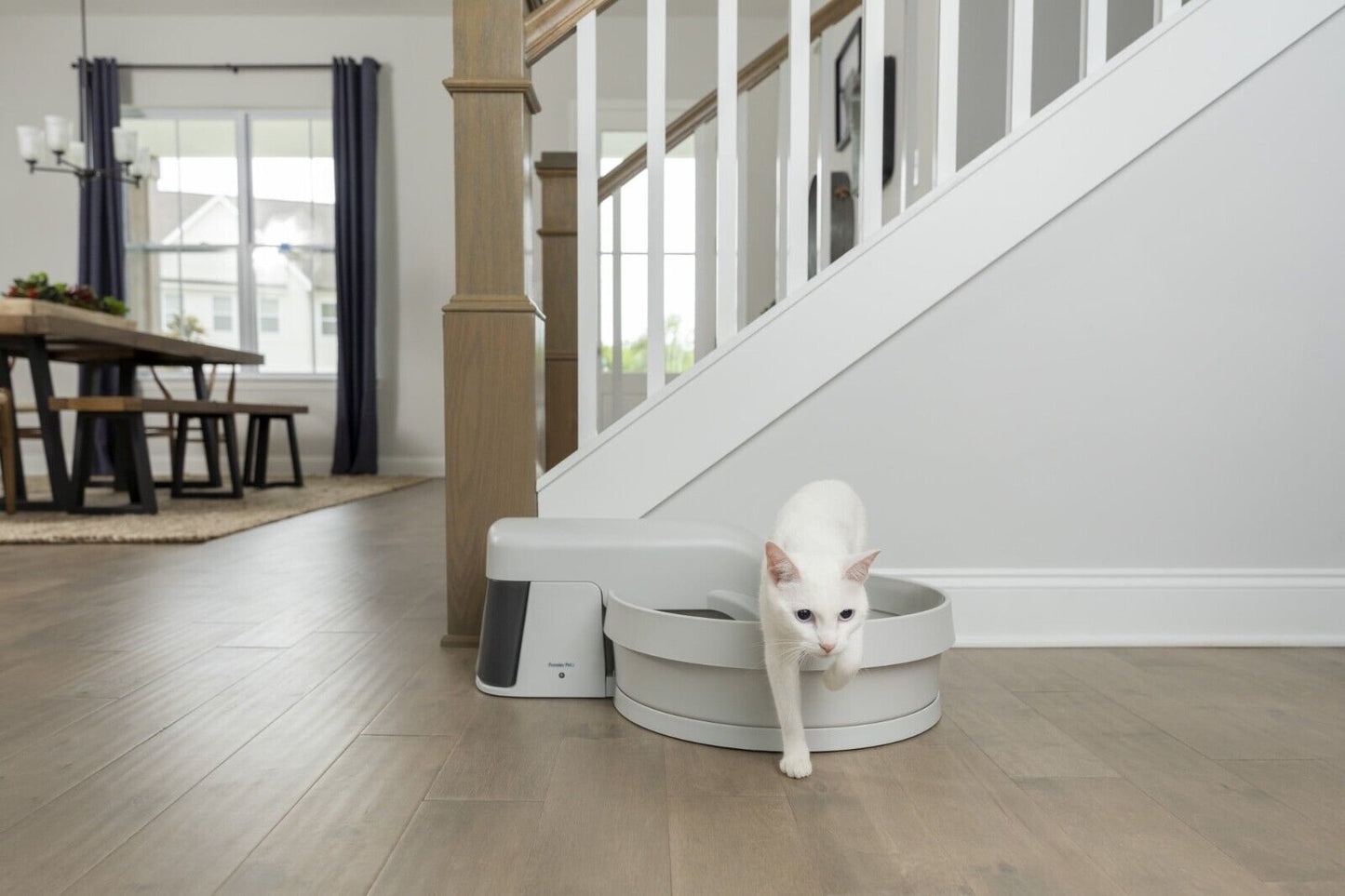 Auto-Clean Litter Box System: Self-Cleaning Litter System, No More Scooping, Aut