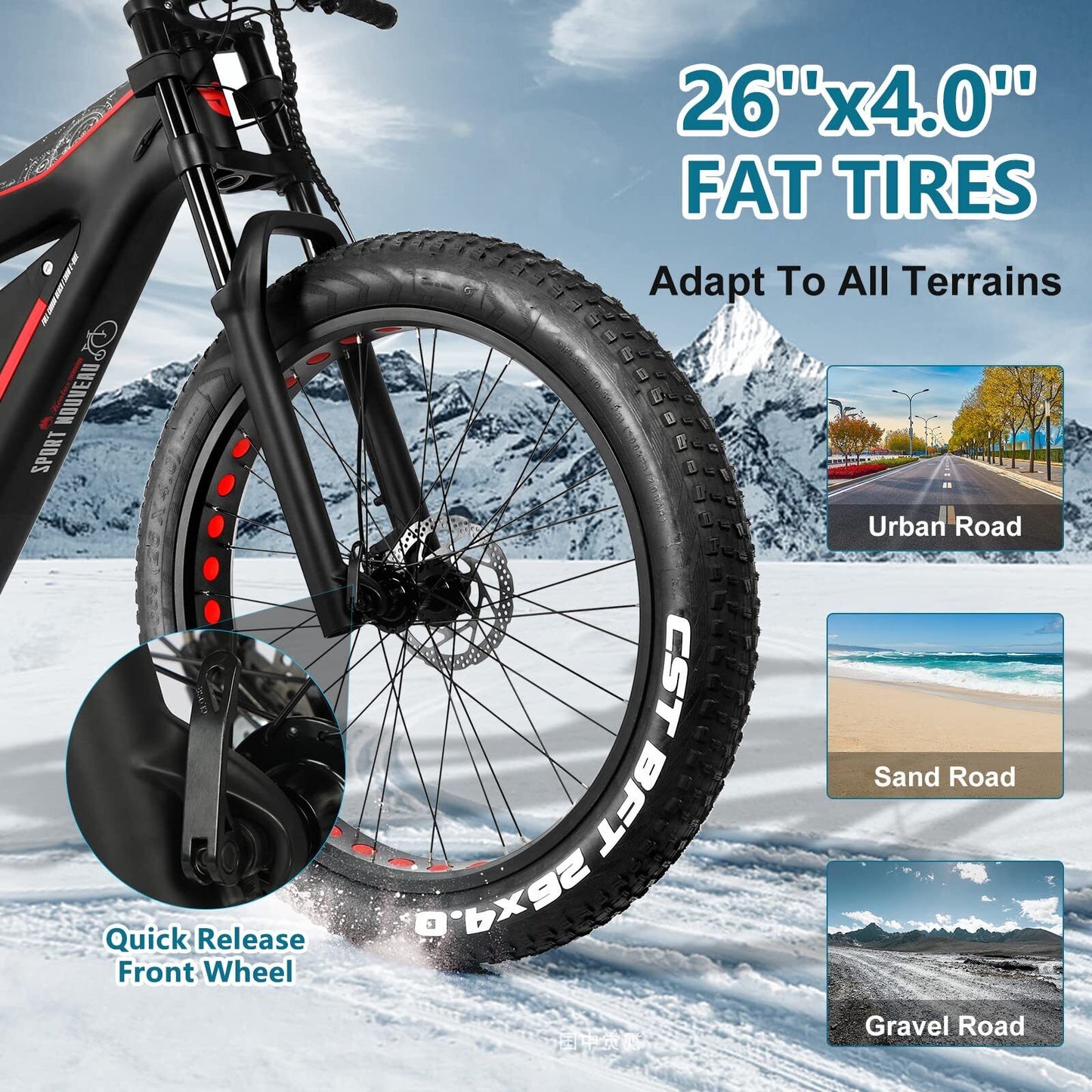 Electric Bike for Adults with 750W  Motor  Torque Sensor System Carbon Fiber