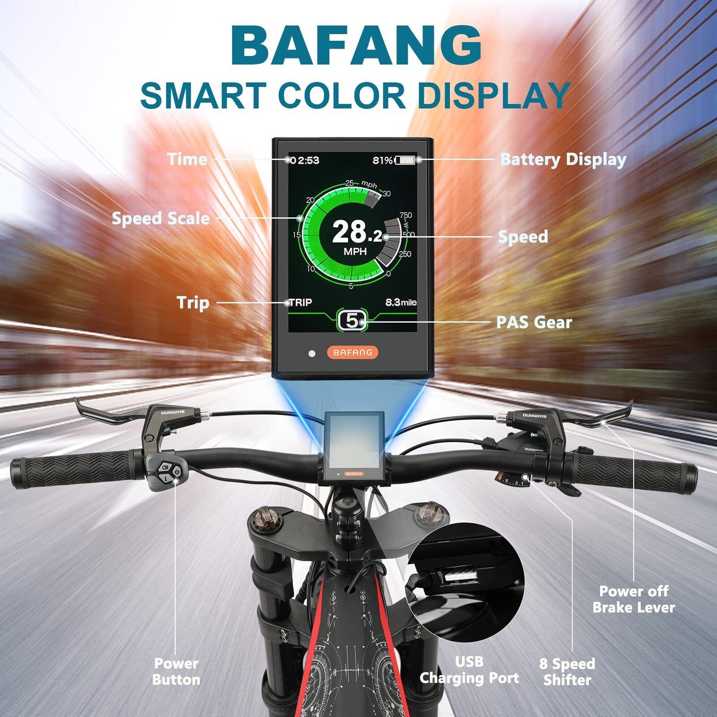 Electric Bike for Adults with 750W  Motor  Torque Sensor System Carbon Fiber