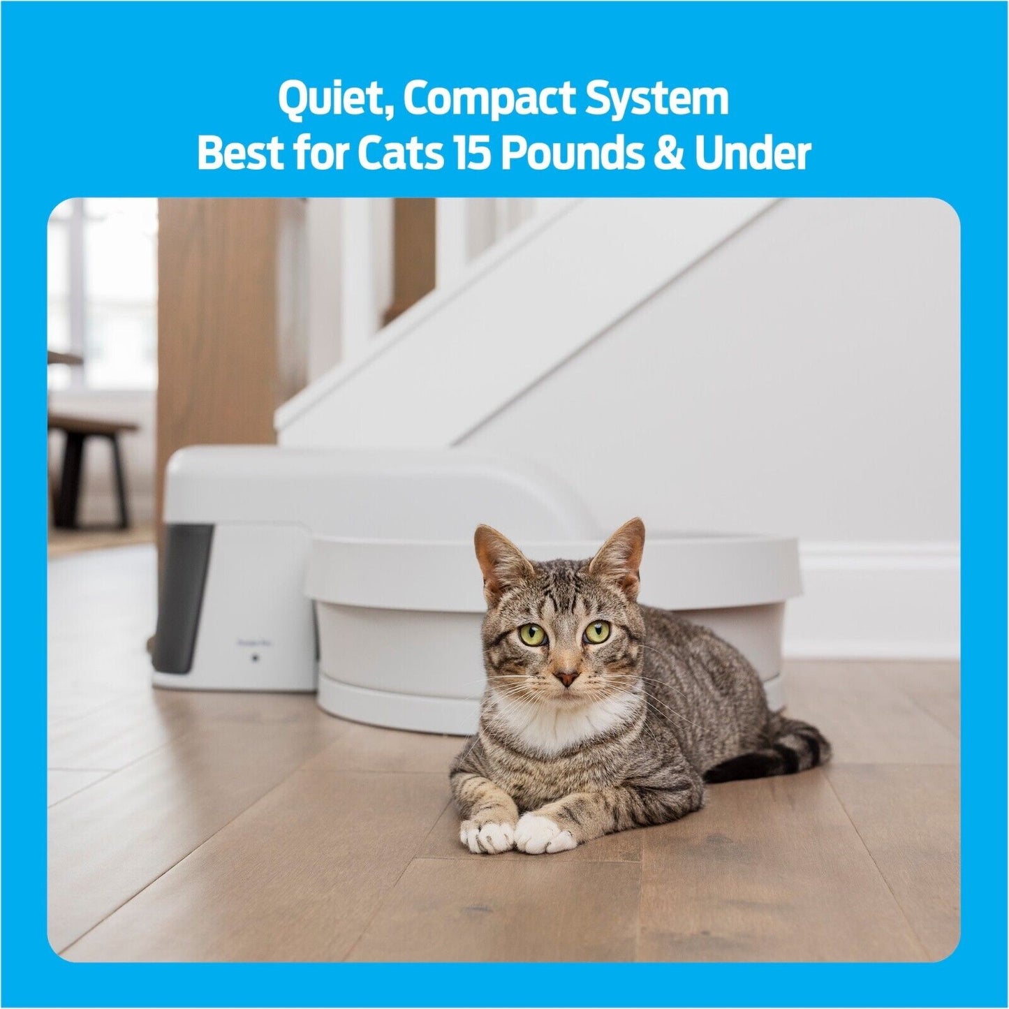 Auto-Clean Litter Box System: Self-Cleaning Litter System, No More Scooping, Aut