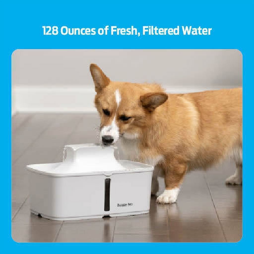 Premier Pet 128 oz. Pet Fountain- Automatic water fountain for dogs cats & mu...